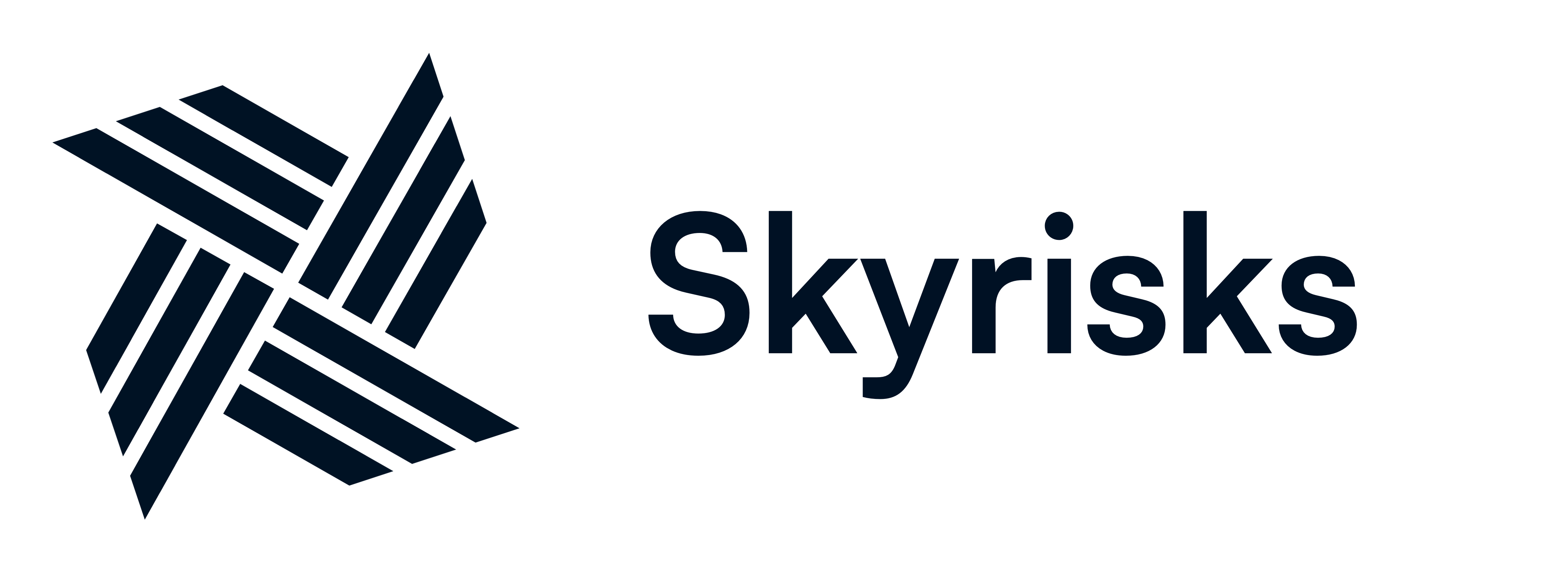 Skyrisks logo