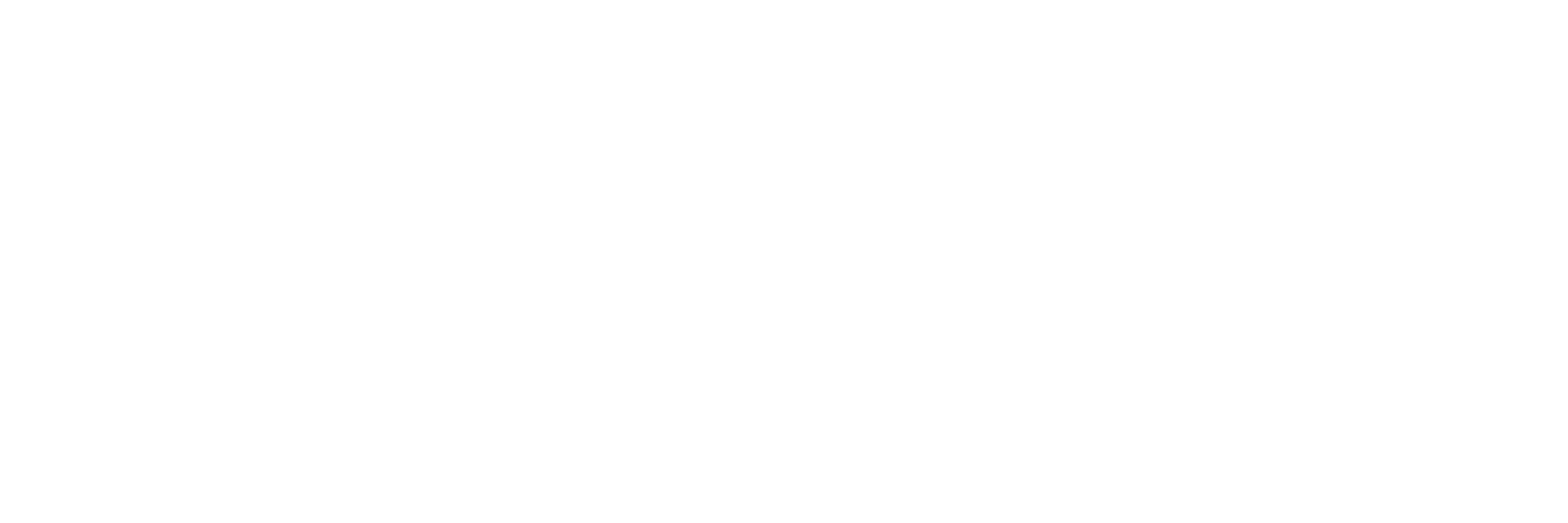 AXSIM LOGO LANDSCAPE - WHITE ON CLEAR